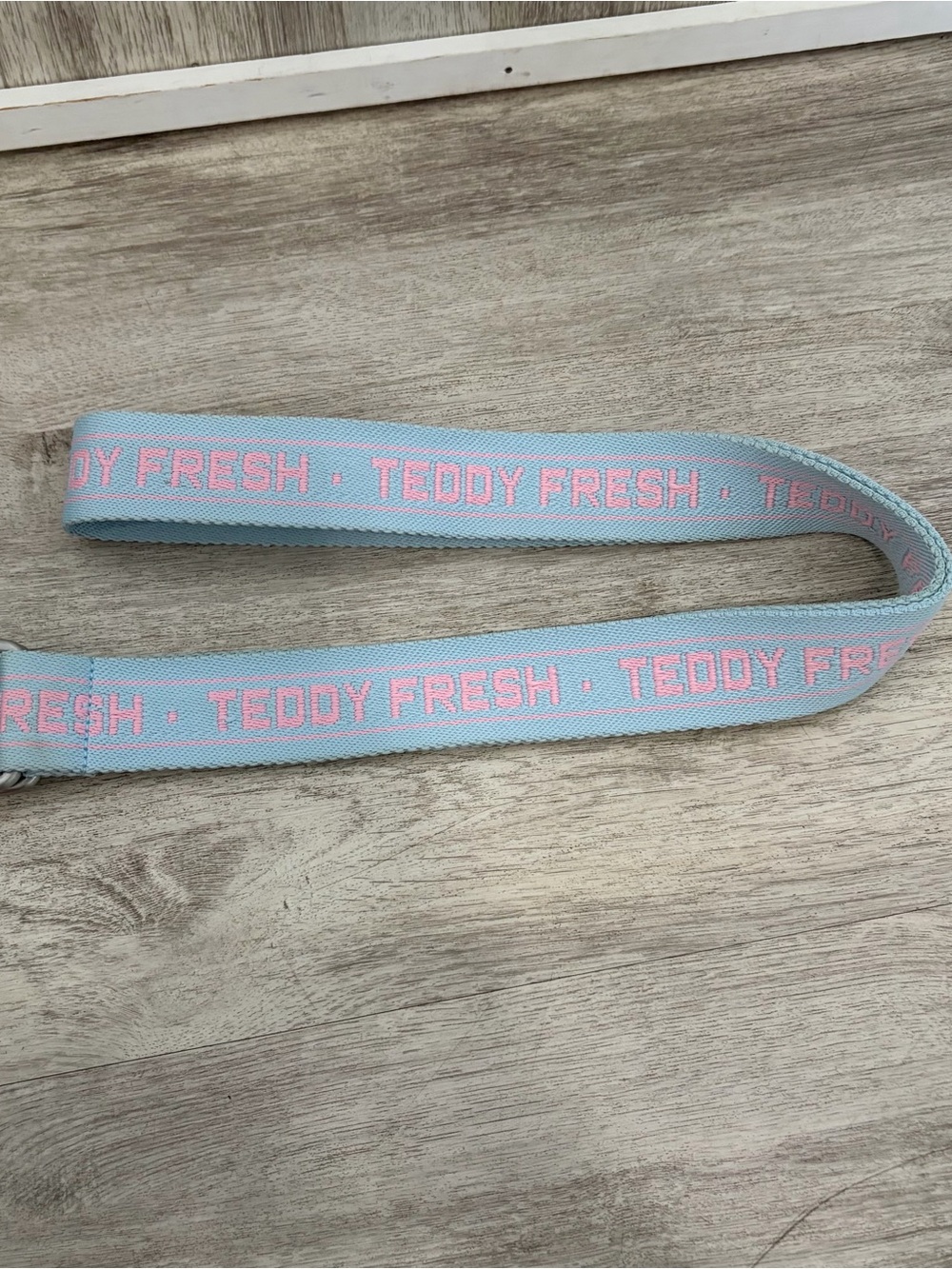 Teddy Fresh D-Ring Webbing Belt Pink Blue Embroidered Logo Streetwear 51"